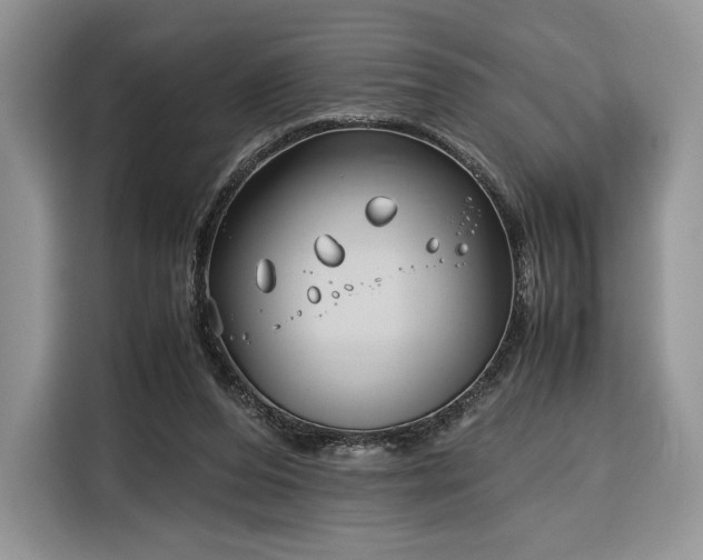 X0000116350208200912091136