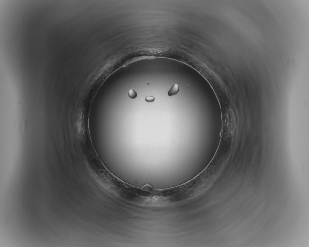 X0000116350212200912091136