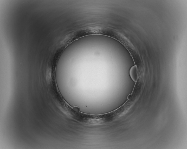 X0000116350213200912091136