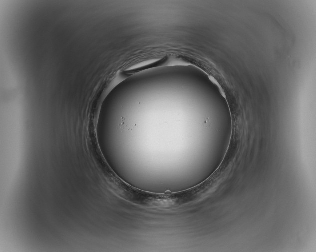 X0000116350217200912091136