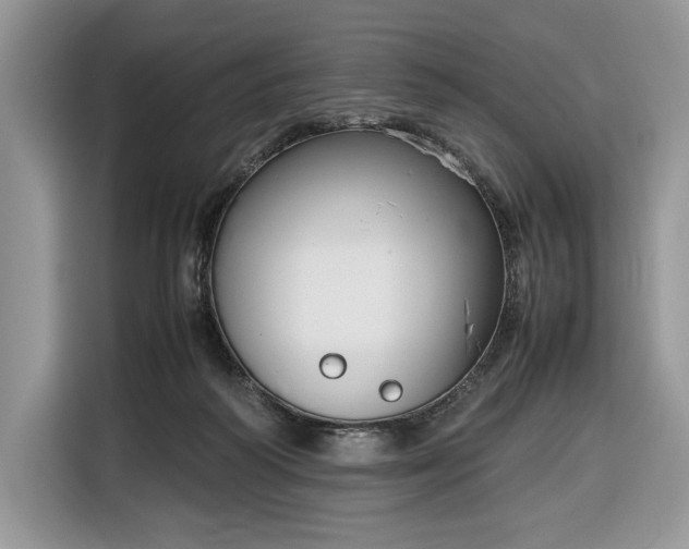 X0000116350218200912091136