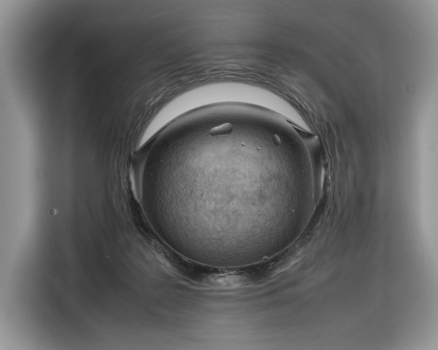 X0000116350219200912091136