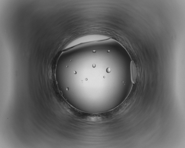 X0000116350220200912091136