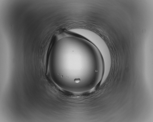 X0000116350221200912091136