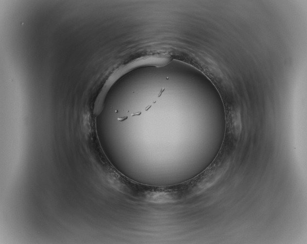 X0000116350224200912091136