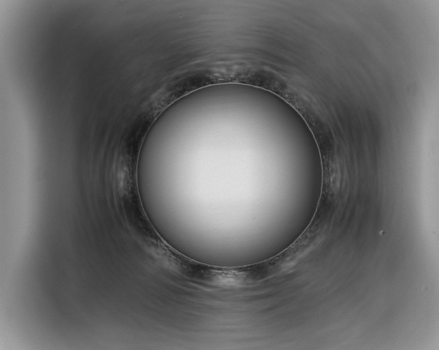 X0000116350226200912091136