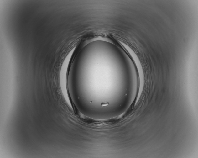 X0000116350229200912091136