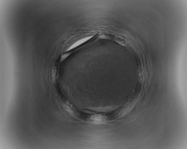 X0000116350231200912091136