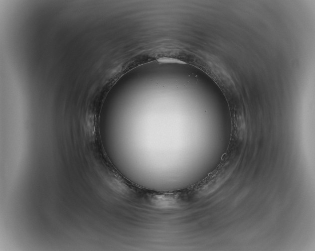 X0000116350232200912091136