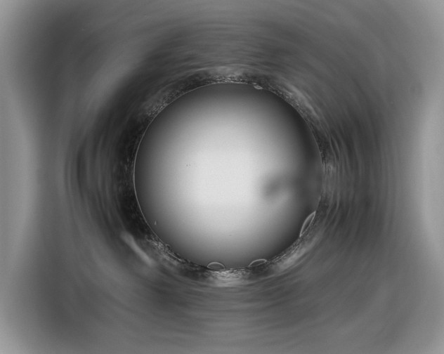 X0000116350238200912091136