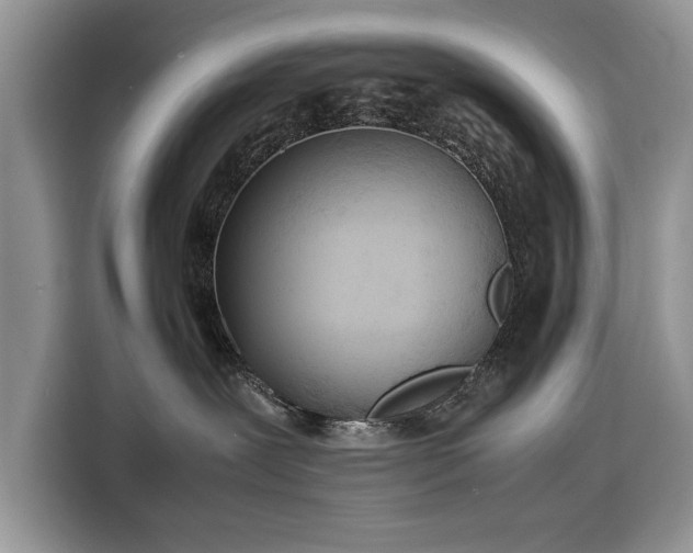 X0000116350239200912091136