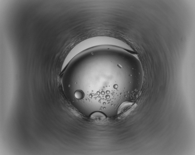 X0000116350240200912091136