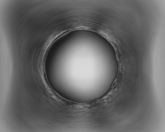 X0000116350241200912091135