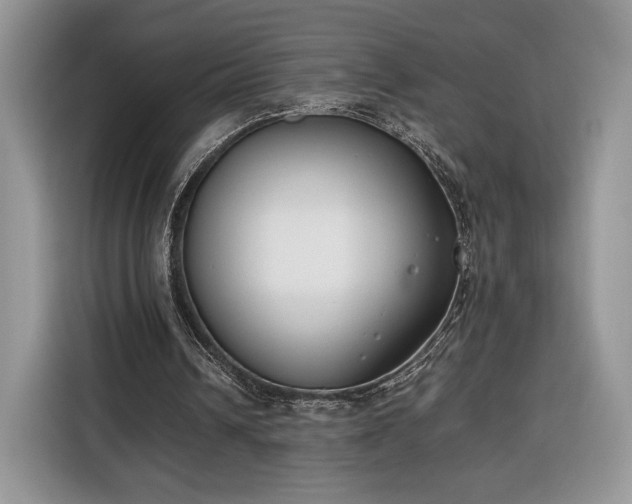 X0000116350242200912091135