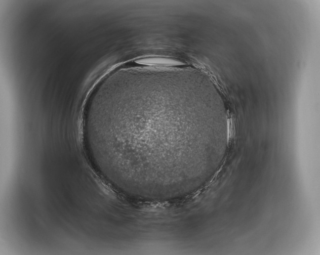 X0000116350243200912091135