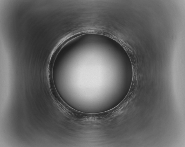 X0000116350244200912091135