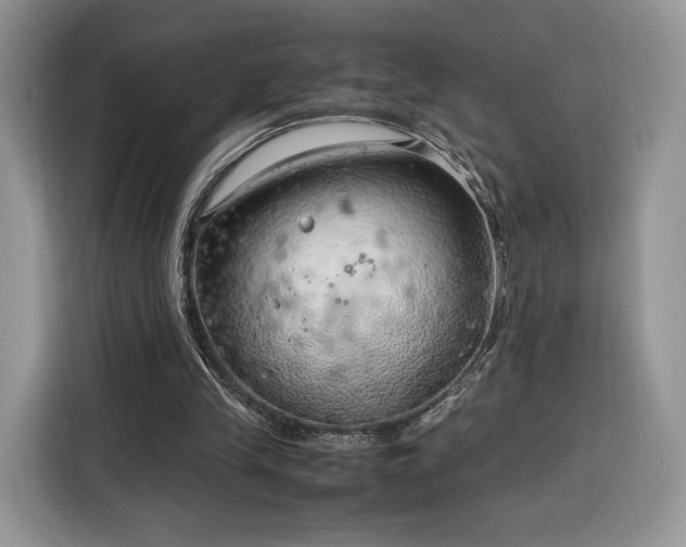 X0000116350245200912091135