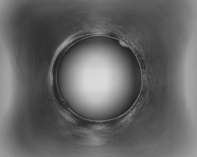 X0000116350246200912091135