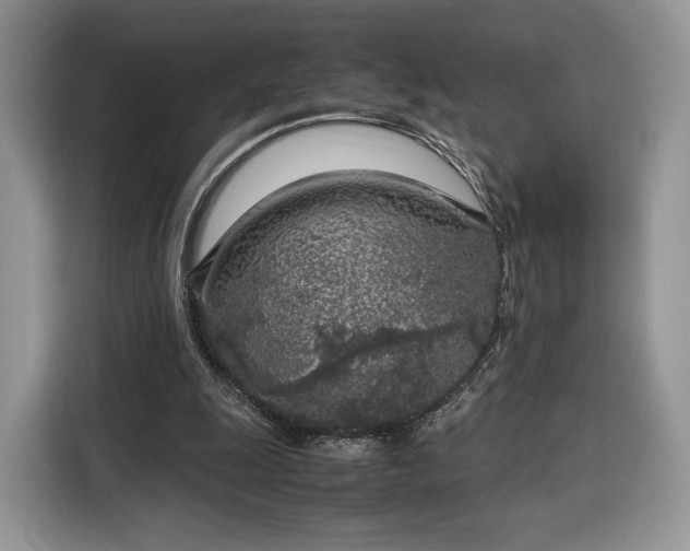 X0000116350247200912091135