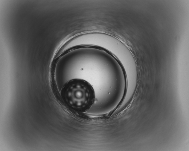 X0000116350248200912091135