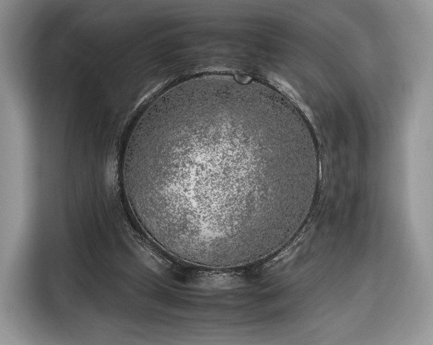 X0000116350249200912091135