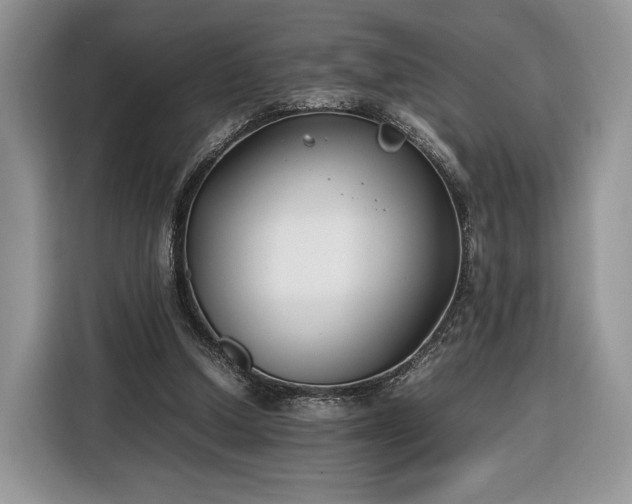 X0000116350250200912091135