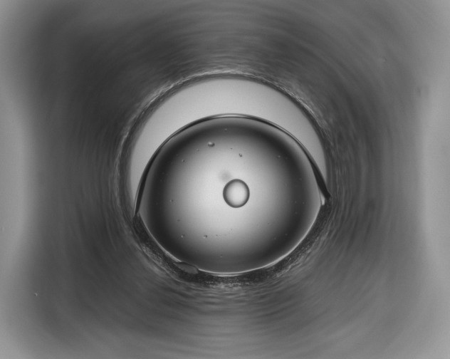 X0000116350252200912091135