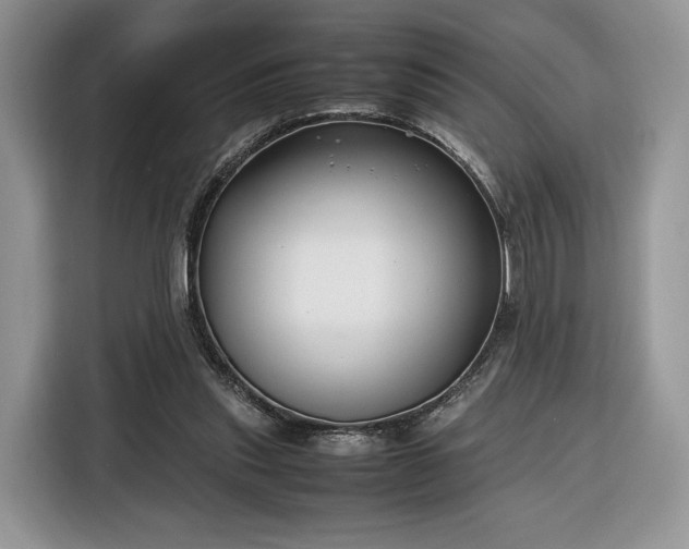 X0000116350253200912091135