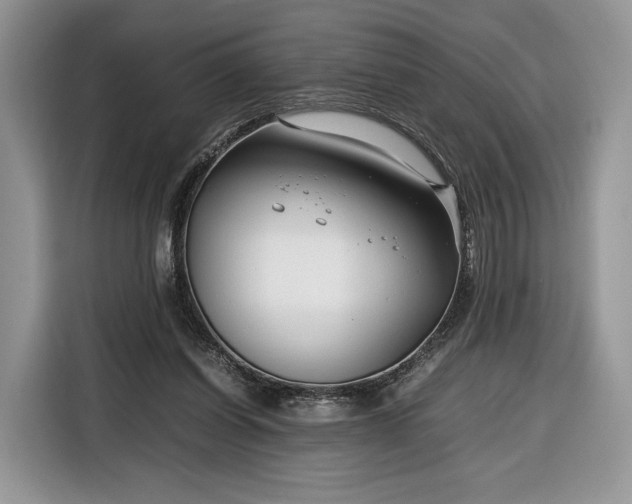 X0000116350254200912091135