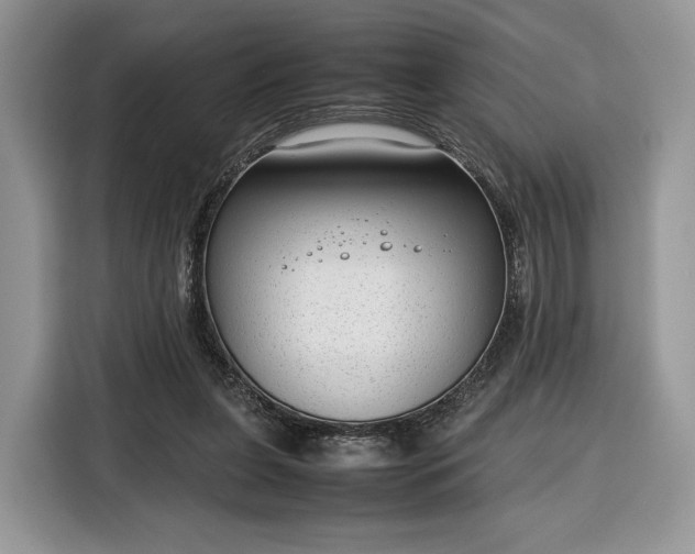 X0000116350255200912091135