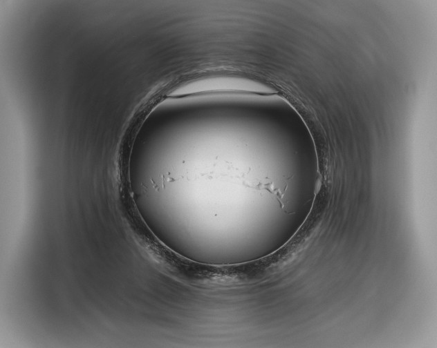 X0000116350256200912091135