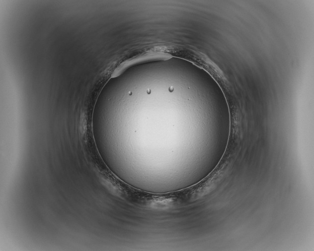 X0000116350257200912091135