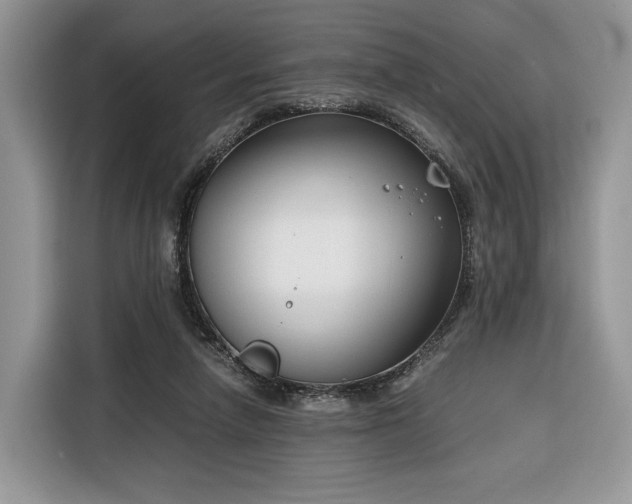 X0000116350258200912091135