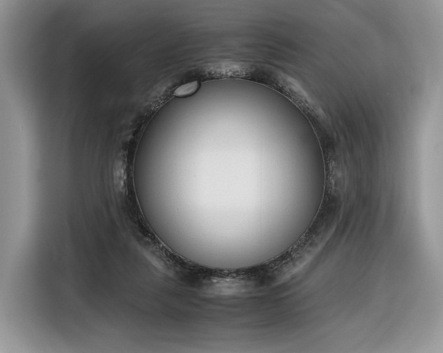 X0000116350259200912091135