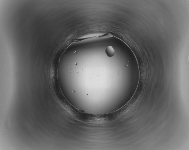 X0000116350260200912091135