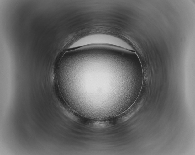 X0000116350261200912091135