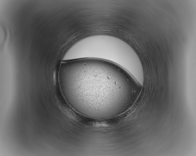 X0000116350262200912091135