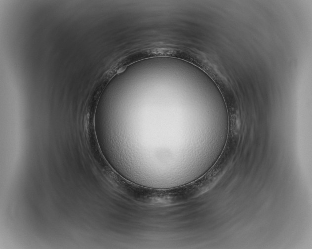 X0000116350263200912091135