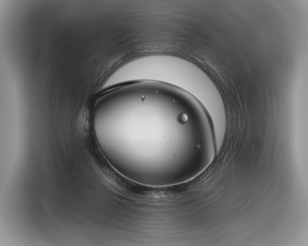 X0000116350264200912091135