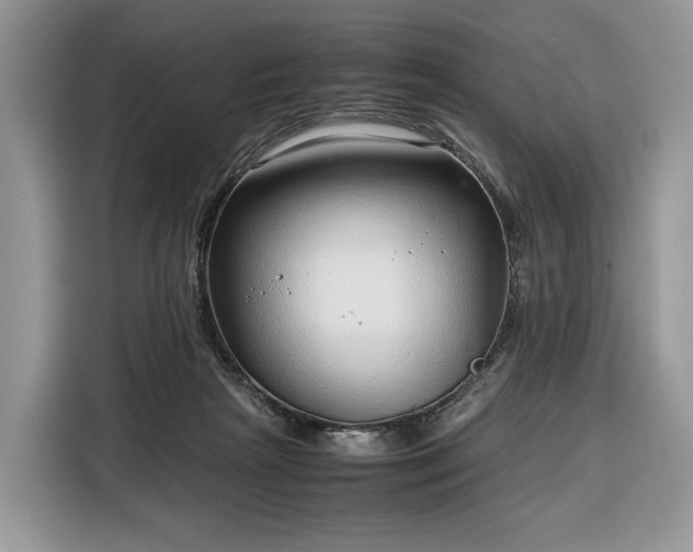 X0000116350265200912091135