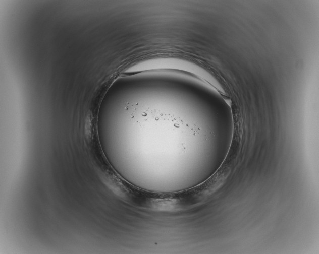 X0000116350266200912091136