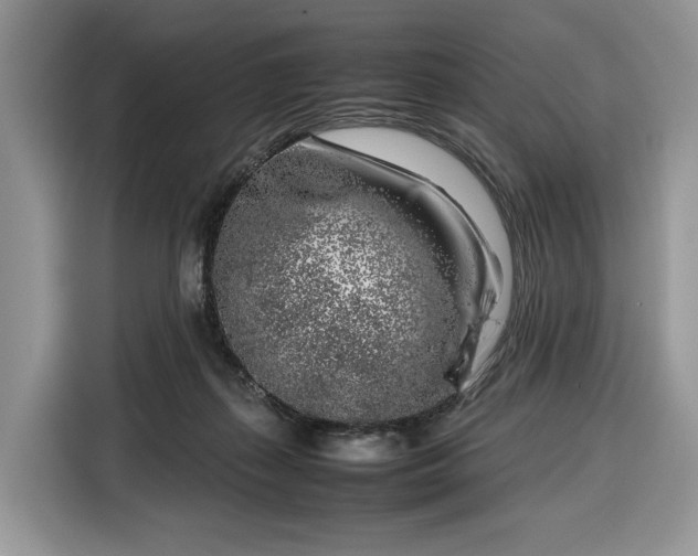 X0000116350267200912091136