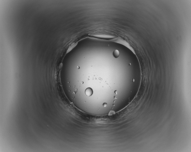 X0000116350268200912091136