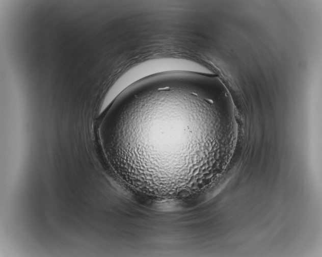 X0000116350269200912091136