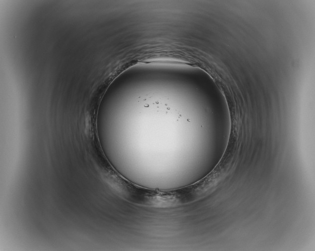 X0000116350270200912091136