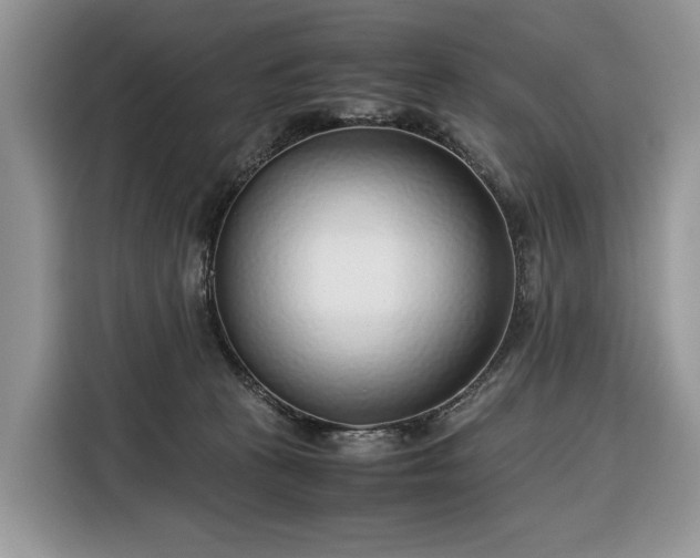 X0000116350273200912091136