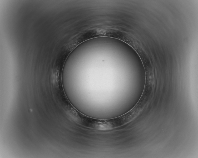 X0000116350275200912091136