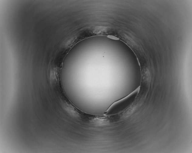 X0000116350280200912091136