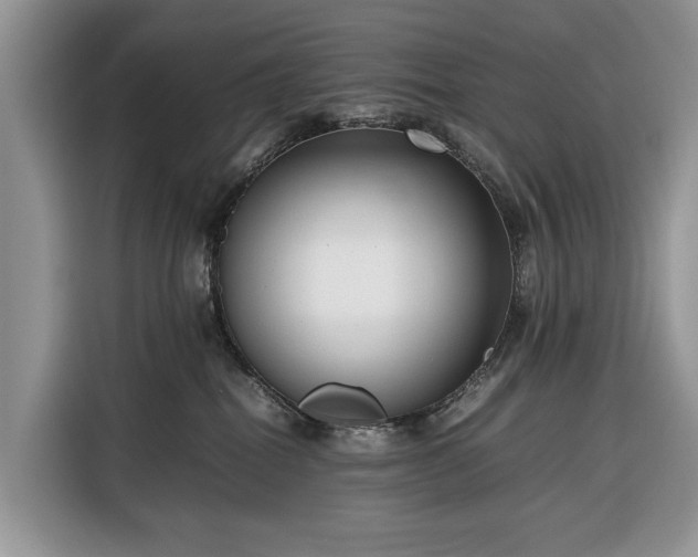 X0000116350282200912091136