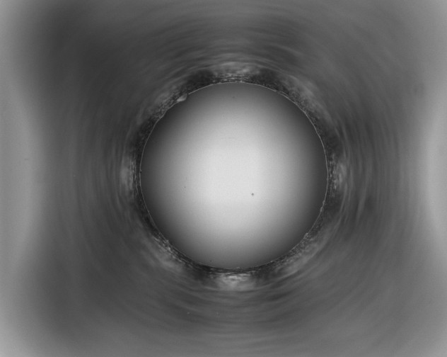 X0000116350283200912091136